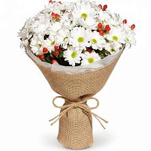 Букет цветов из:  Хризантемы #REPLACE_PRED# Конышёвке